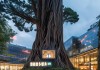 锐邦信息咨询服务助力企业数字化转型——专业守护者