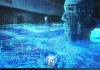 守护信息时代 竖立位置守护——记在保影信息咨询服务中心