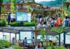 金沙县群本信息咨询服务助力乡村振兴的创新实践