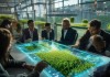 厦门信息化茶叶咨询，助力茶叶产业高质量发展