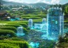 农康信息技术咨询，助力农村健康发展的智慧之光