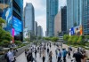杨浦区信息技术咨询概况