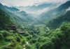 Exploring the Dynamic Landscape:A Journey Through福建东星信息技术咨询有限公司