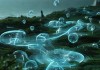 南风知我意，信息咨询服务 networks的未来