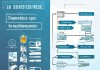全面分析信息咨询服务的缴纳方式与选择