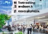 深圳市金凯信息咨询服务有限公司，赋能现代商业生态