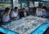 建筑业信息化规划咨询，推动数字化转型的支撑