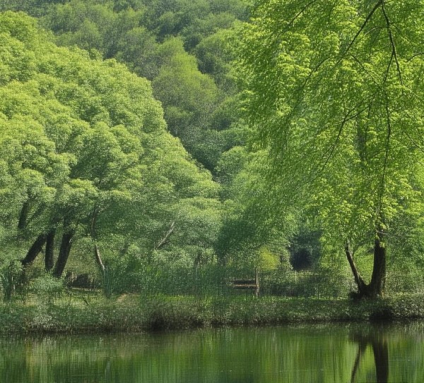 龙湖中环信息咨询服务部,专业之光与创新并重 龙湖中环信息咨询服务部,专业之光与创新并重