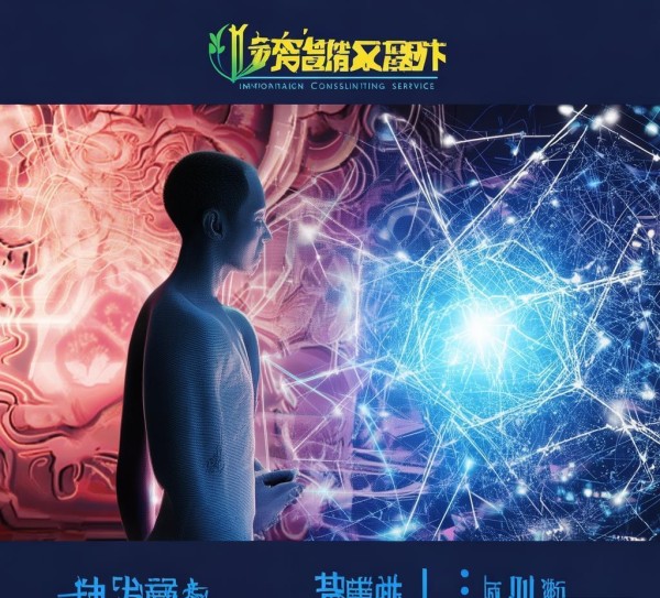 金安信息咨询服务，助力数字经济高质量发展