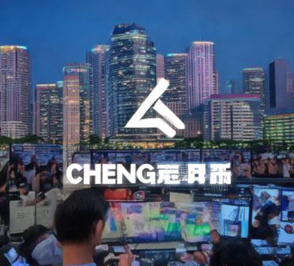 成都昂斯诺信息技术咨询有限公司，助力企业数字化转型